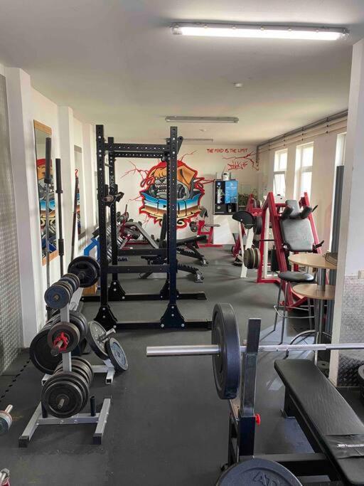 Ferienwohnung Mit Fitnessstudio Top1 Plauen Esterno foto