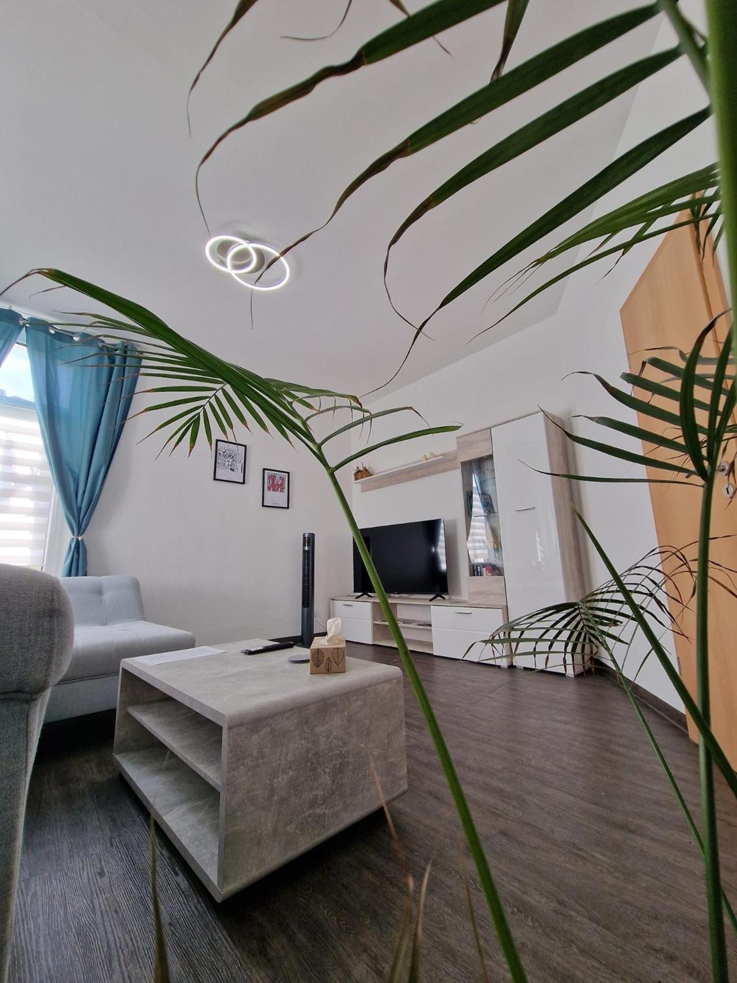 Ferienwohnung Mit Fitnessstudio Top1 Plauen Esterno foto